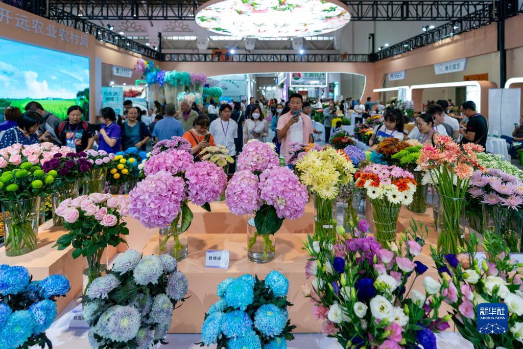 菠菜讨论网址